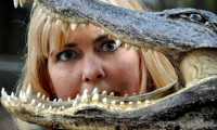 How “Alligator Sallie” Came To Be…..